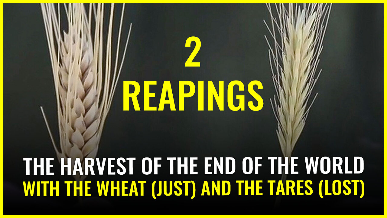 2 REAPINGS with The harvest of the END OF THE WORLD with the wheat (just) and the tares (lost)