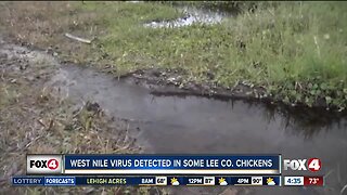 West nile virus detected in some Lee County chickens
