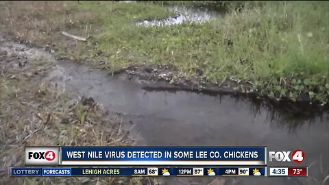 West nile virus detected in some Lee County chickens