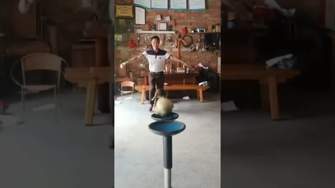 Sick Skills