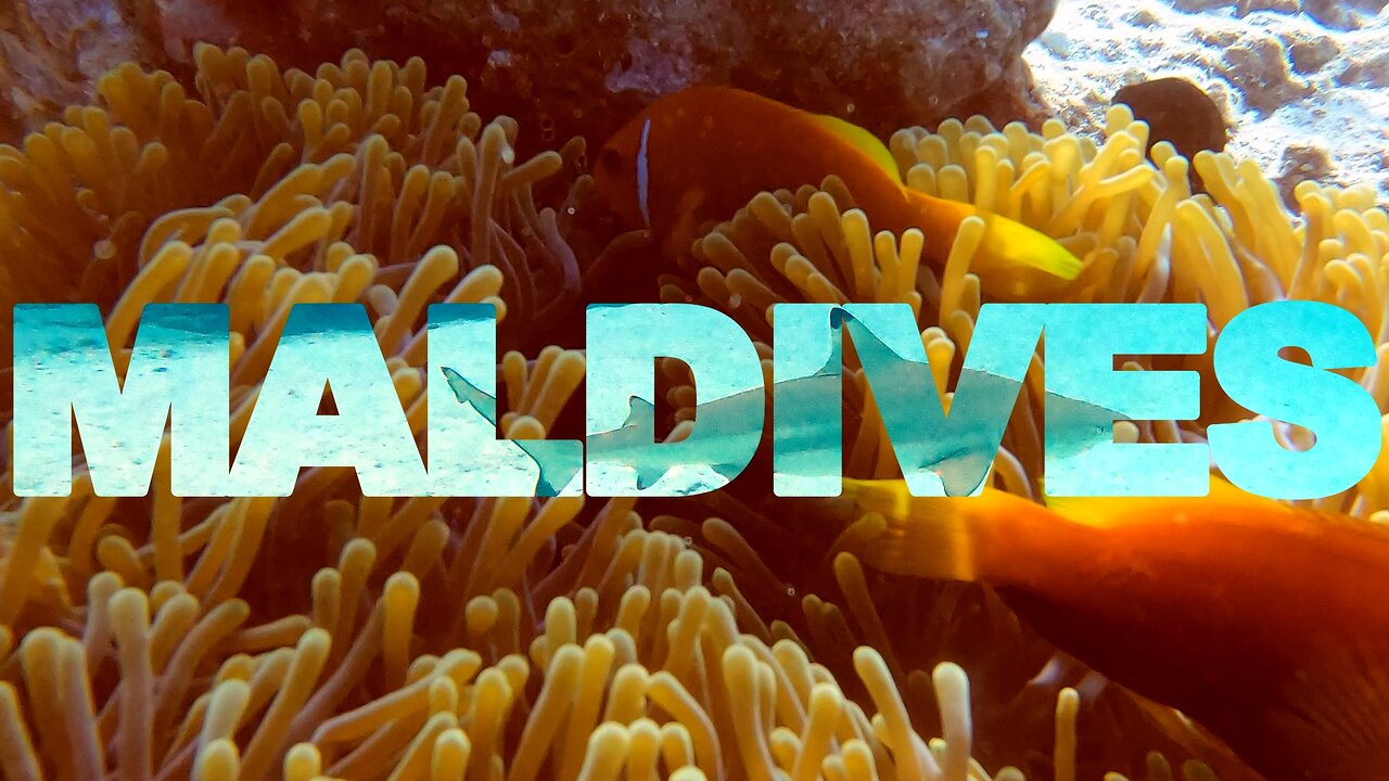 Witness the mystical underwater world in the Maldives