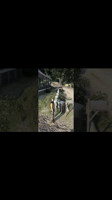 CLEETUS HIT BY A TRUCK!😂 | #shorts