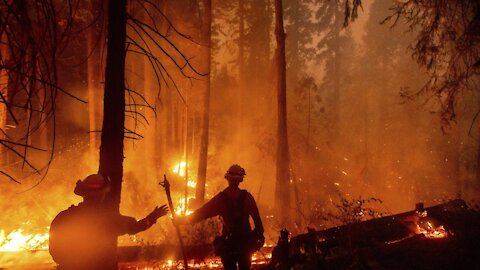 Firefighters Battle Multiple Wildfires In California