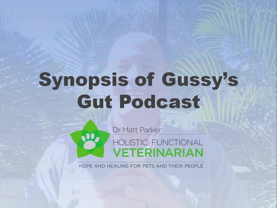 Synopsis of Gussy's Gut Podcast