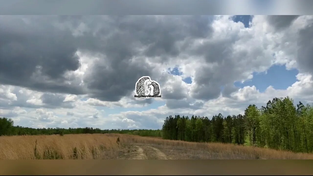 just seeing if it works