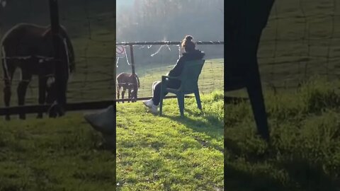 My Girlfriend enjoying my Horse’s Paradise