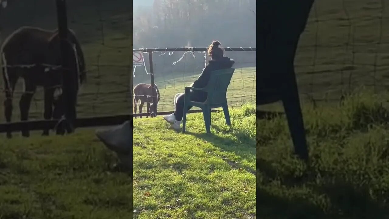 My Girlfriend enjoying my Horse’s Paradise