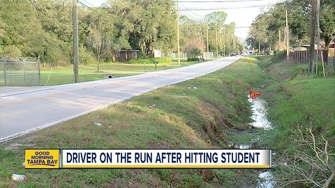 17-year-old injured in hit-and-run in Lakeland