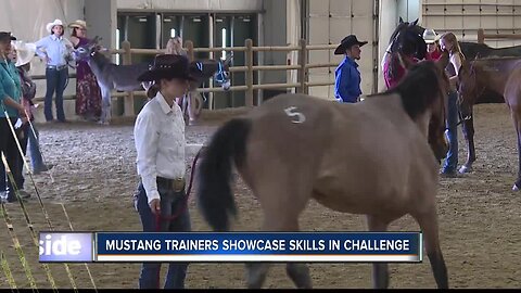 Mustang Mania at Ford Idaho Horse Park