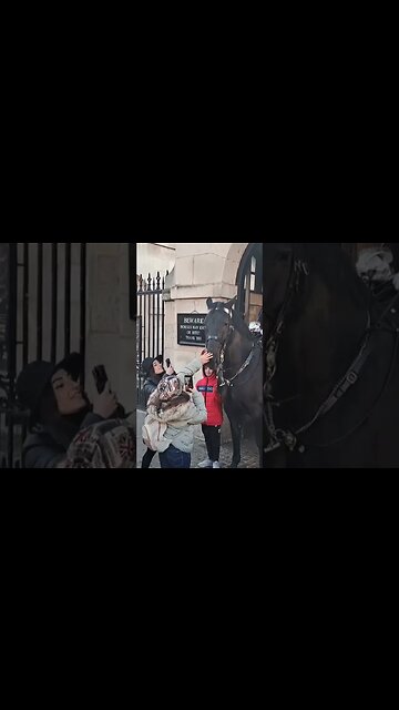 Boy doges the bite #horseguardsparade