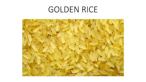 GOLDEN RICE