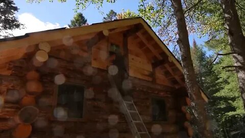 10 $$$ Porch Overhang, Install Windows, Stone Floor, Garden Harvest, Off Grid Log Cabin Build Alone,