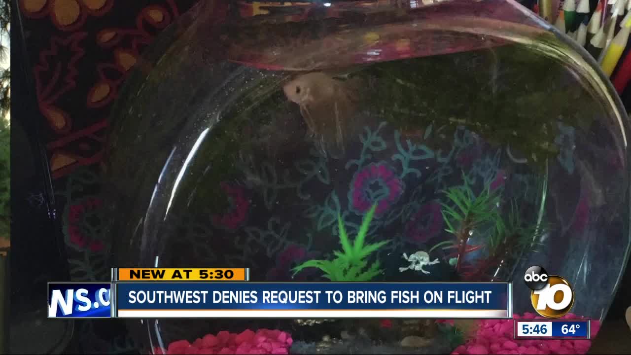 Southwest denies request to bring fish on flight