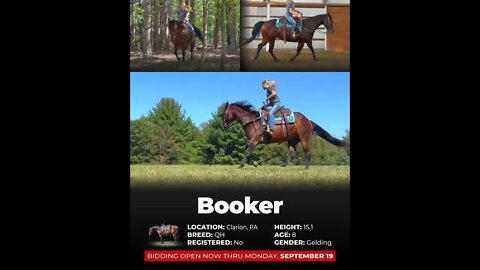 ENDED ♦the 𝑺𝒆𝒑𝒕𝒆𝒎𝒃𝒆𝒓 𝐒𝐄𝐋𝐄𝐂𝐓 ♦ online auction ended Monday | September 19th at www.horsebid.com!