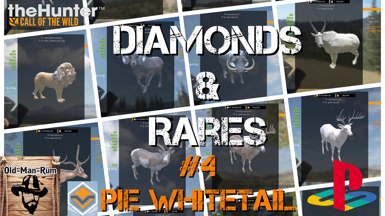 theHunter Call of the Wild Diamond & Rares montage #4 Console