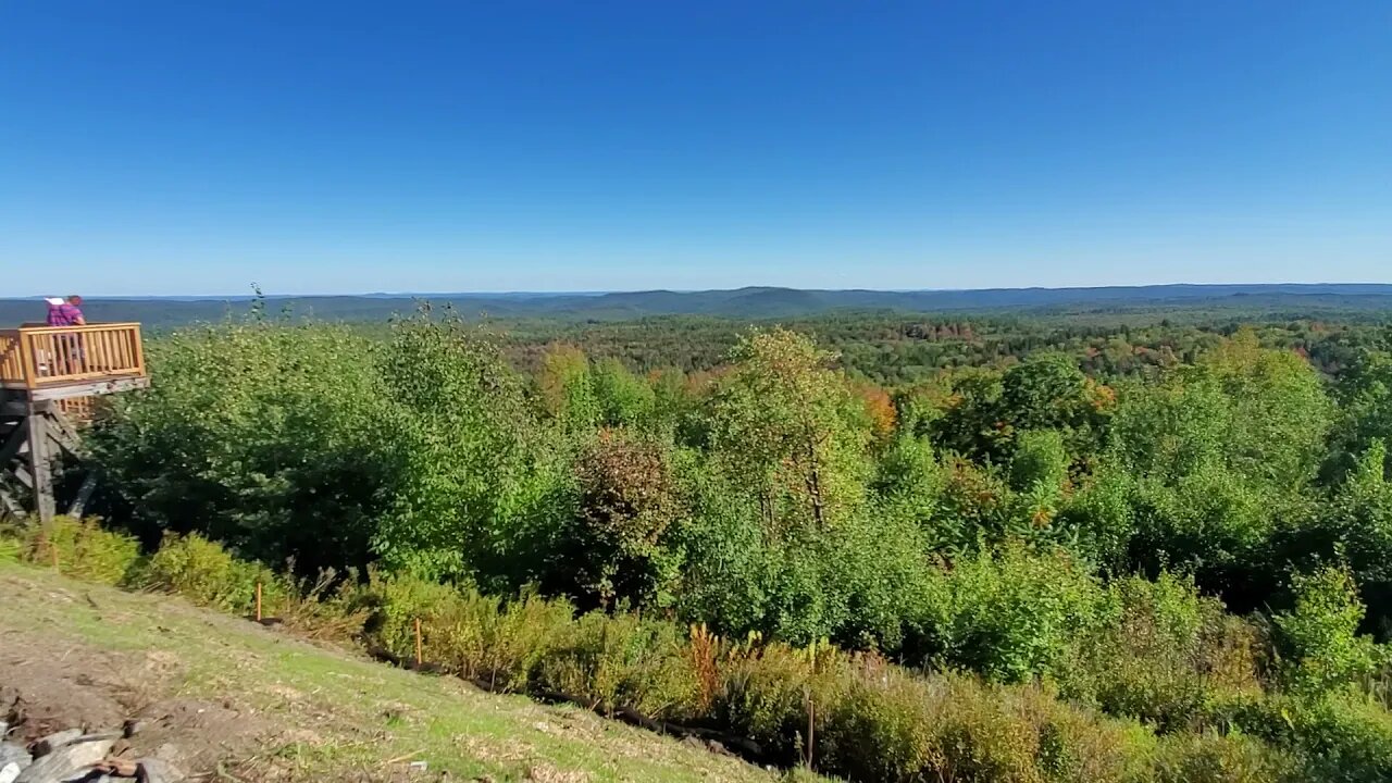 A hill and an Apple tree