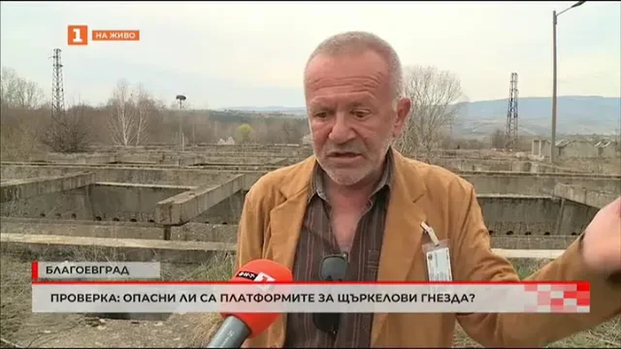 Проверка Опасни ли са платформите за щъркелови гнезда