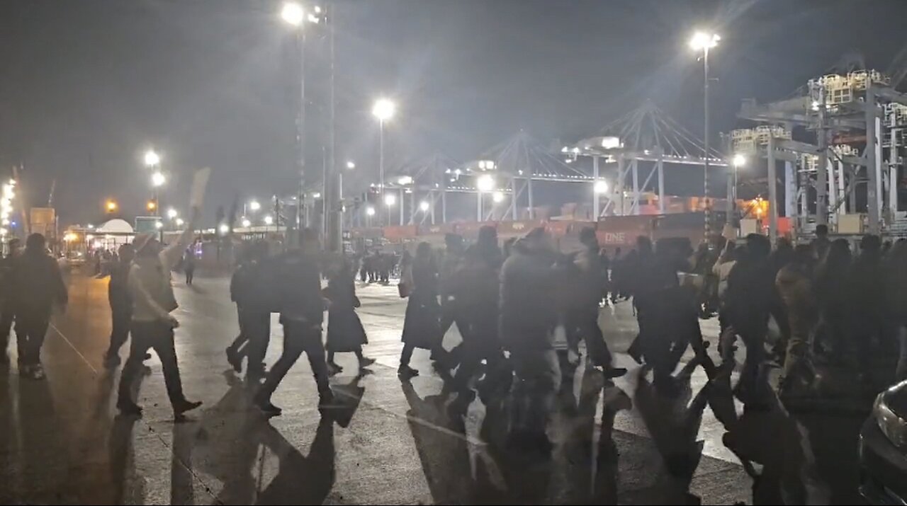 Antifa and pro Palestinian supporters block weapons from being loaded onto military ship
