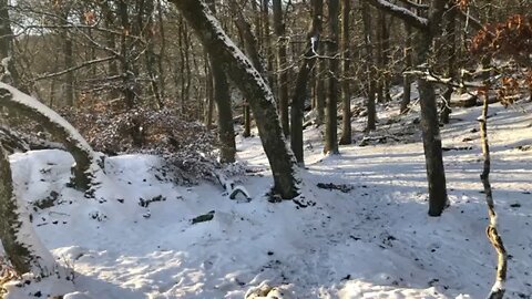 Vinter på Bornholm. December 2021