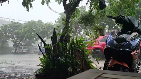 Raw Unedited video Rain sound morning cafe in Saigon to relive the moment-[Trời mưa cafe buổi sáng]