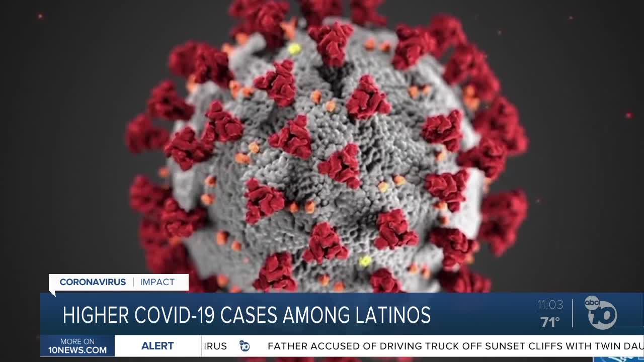 Higher COVID-19 cases among latinos