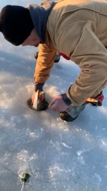 Big Northern Little Hole