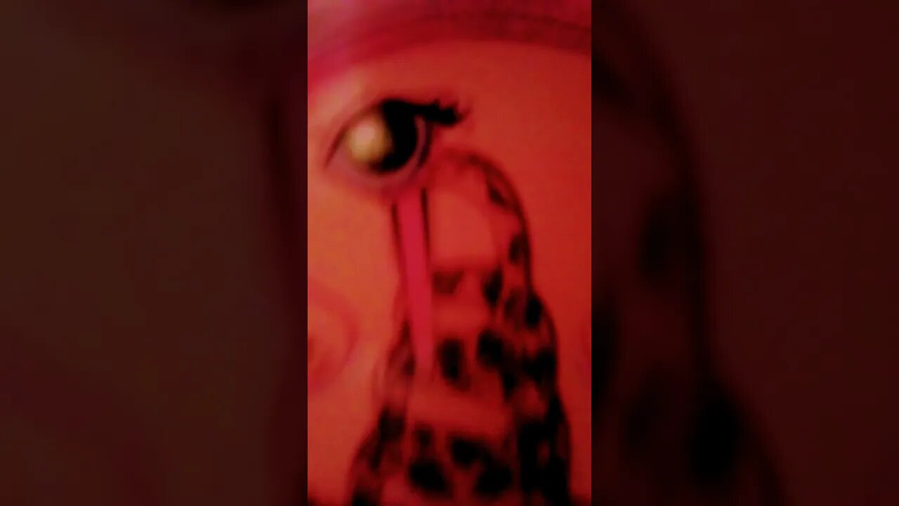 SÑH∆ïL