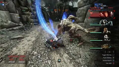 Evolve Stage 2 customs