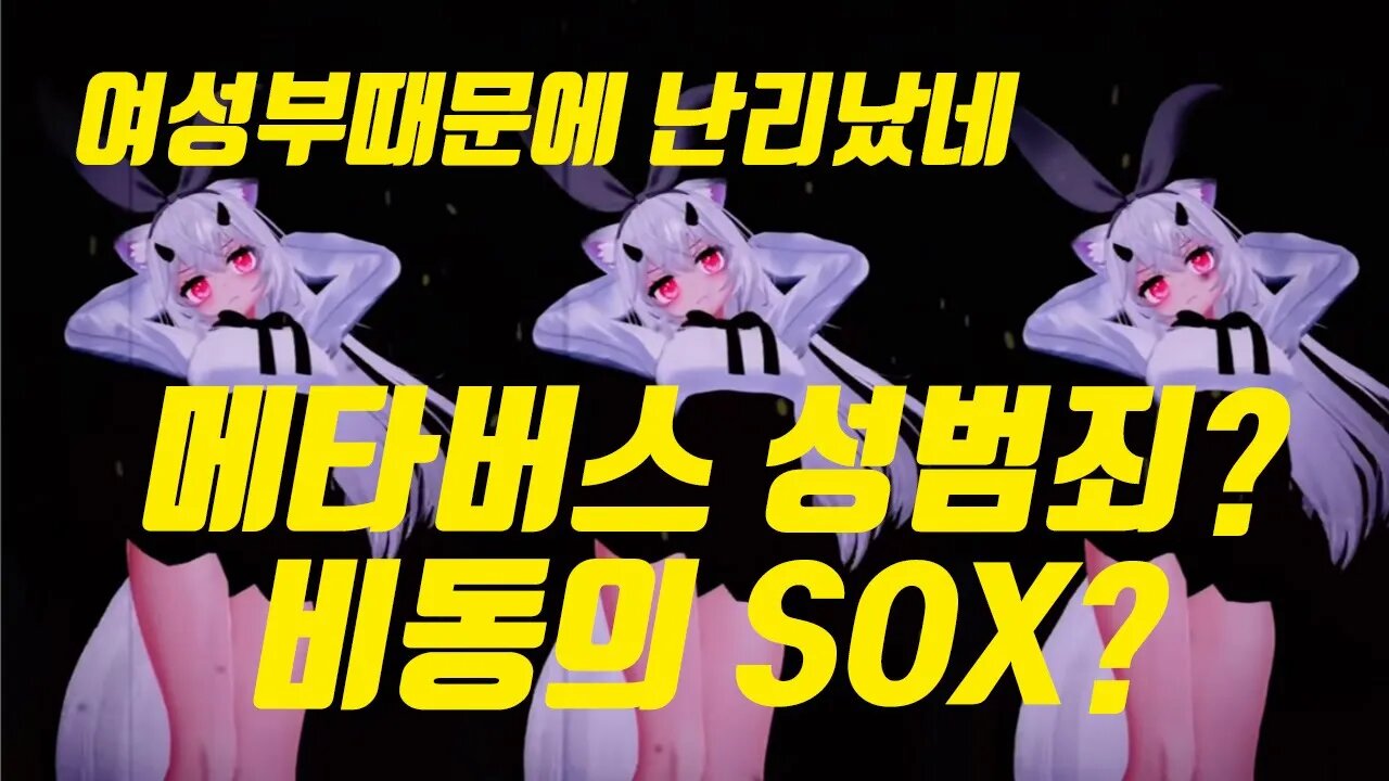 여성부때문에 난리남! 메타버스 성범죄? 비동의 SOX?