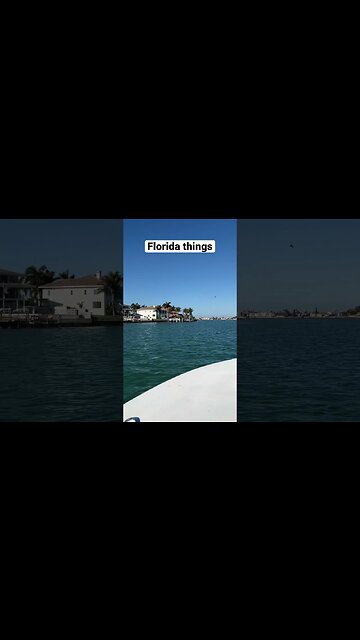 Doing Florida things with Florida people