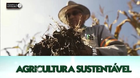 Agricultura Sustentável - Com Frederico Olivi