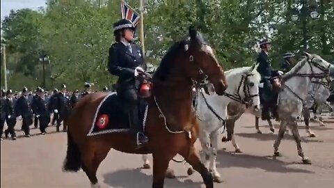 Police leading royal spectators to Buckingham Palace horse playing up #buckinghampalace