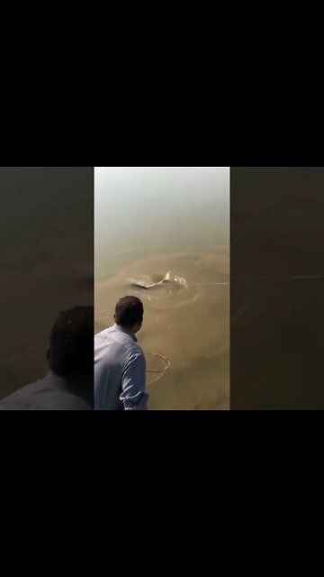 Fishing 🎣#Shorts #ytshorts #UbertainmentFun #Dogs #Animals #Fun