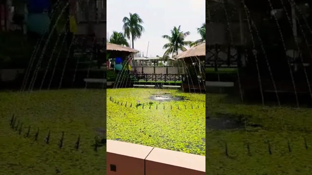 Beautiful Umbrella Decoration