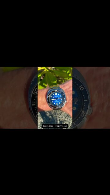 Can you see the Stingrays?