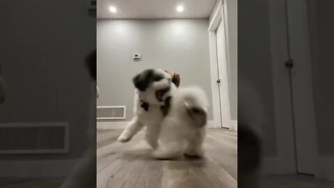 Video By Fathermila #Shorts