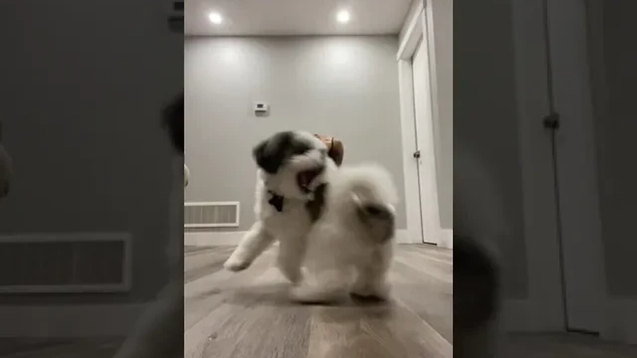 Video By Fathermila #Shorts