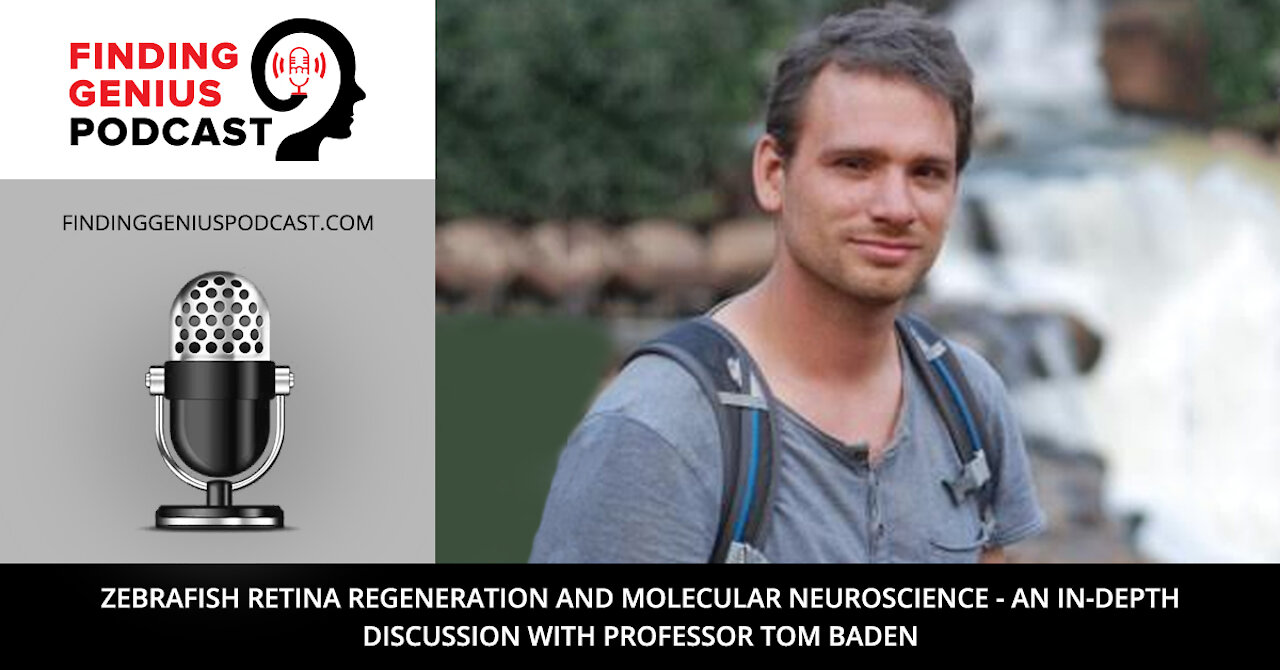 Zebrafish Retina Regeneration and Molecular Neuroscience
