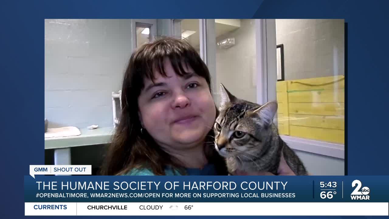 Humane Society of Harford County says "We're Open Baltimore!"