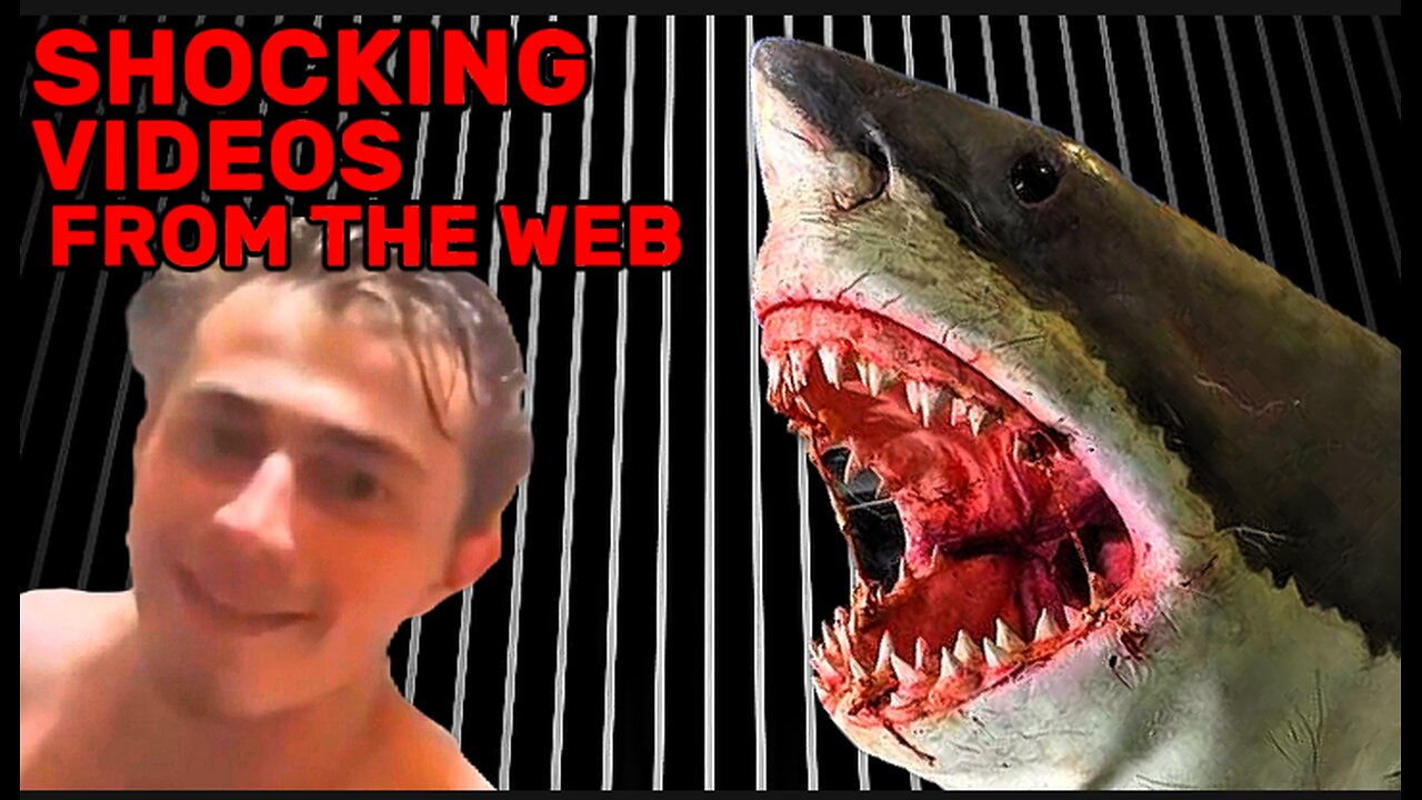 10 More Shocking Videos From The Web