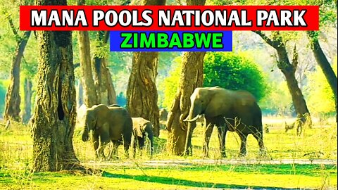 Mana Pools National Park (zimbabwe) | Full Documentary|