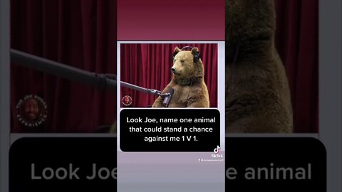 Joe Rogan Interviews Bear 🤣 #memes #shorts #memesdaily #subscribe #dailyshorts #joerogan #lol