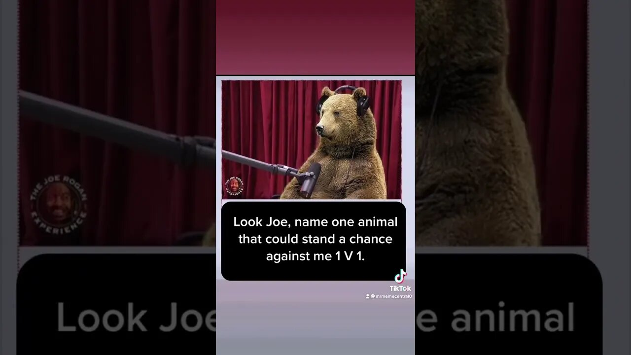 Joe Rogan Interviews Bear 🤣 #memes #shorts #memesdaily #subscribe #dailyshorts #joerogan #lol