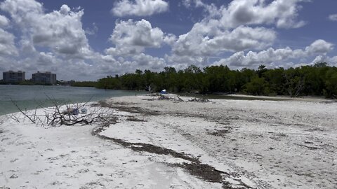 Delnor Wiggins Pass State Park Beachwalk (Widescreen) #4K