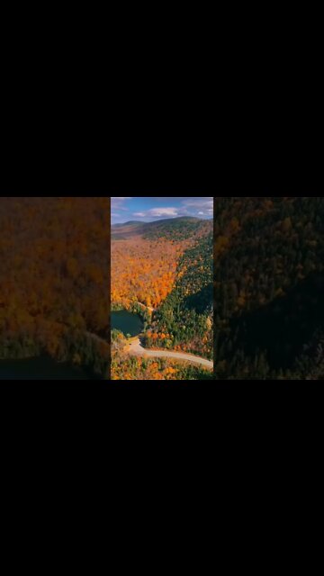 Beautiful relaxing music for stress #shorts