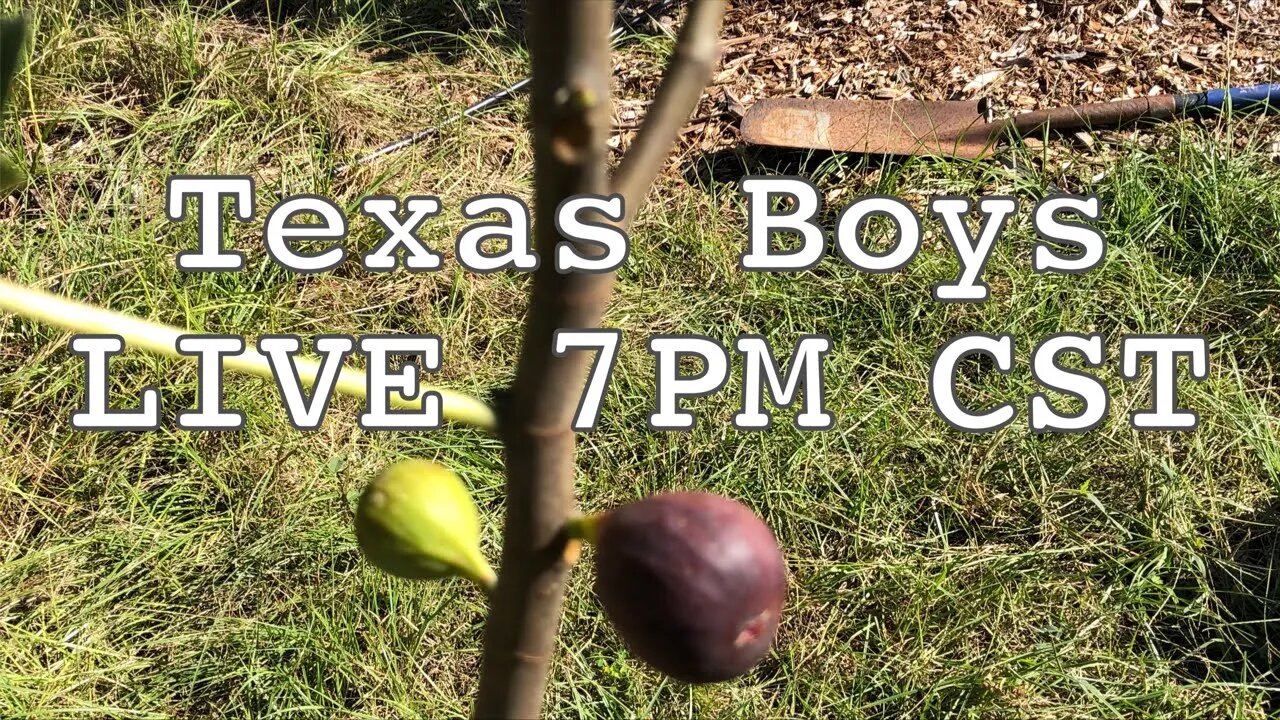 Texas Boys LIVE 7PM CST