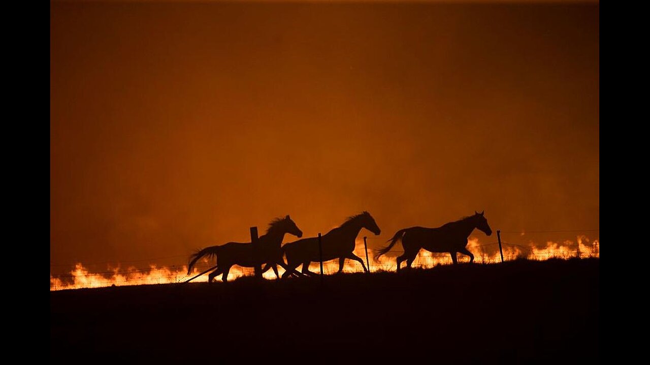 DEW(Wild Fires) - Targeting Texas