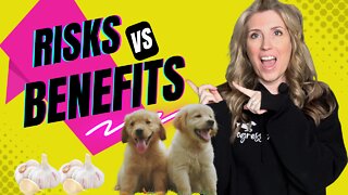 The Risks VS Benefits of Garlic for Dogs