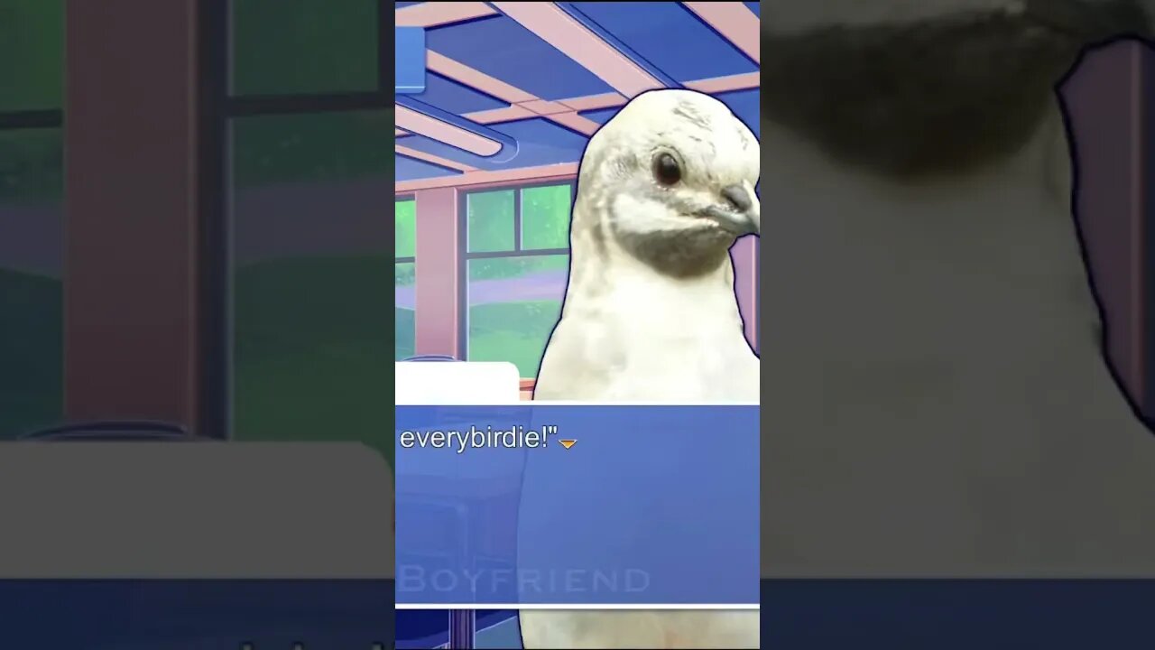 Good morning EveryBirdie! #HatofulBoyfriend #indie #dating #datingsim #pigeon #visualnovel