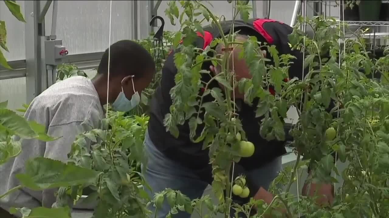 Middle School greenhouse program giving back